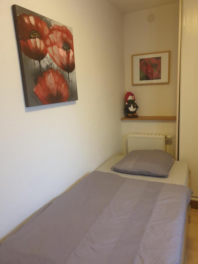 Appartement Proche D'Europa Park/Marches De Noel Rhinau Екстер'єр фото