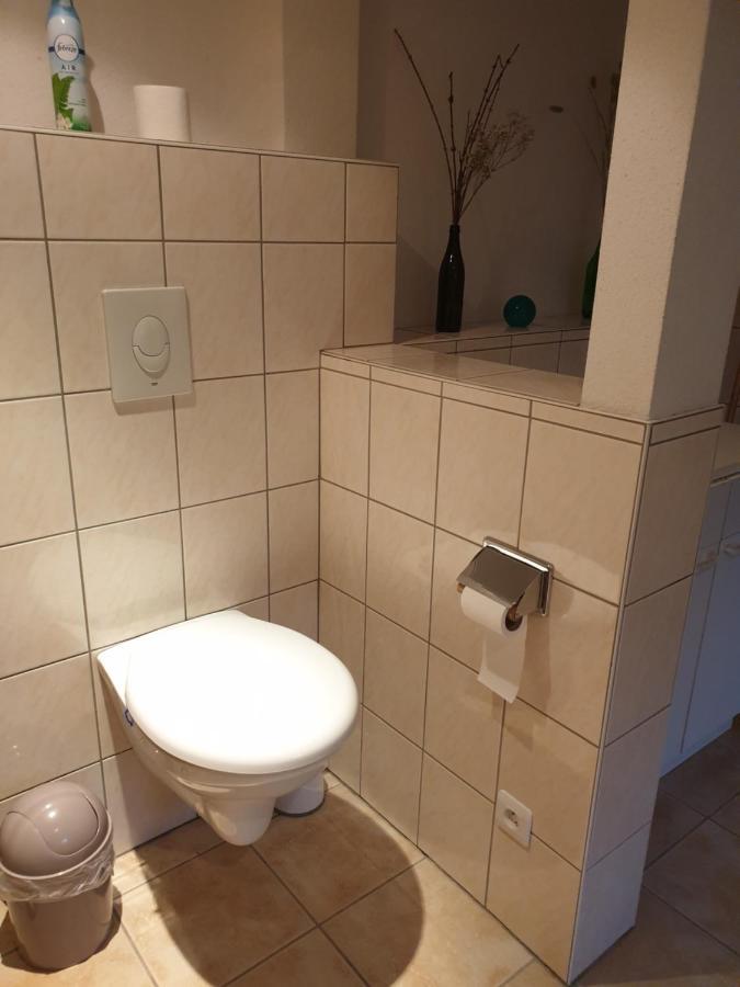 Appartement Proche D'Europa Park/Marches De Noel Rhinau Екстер'єр фото
