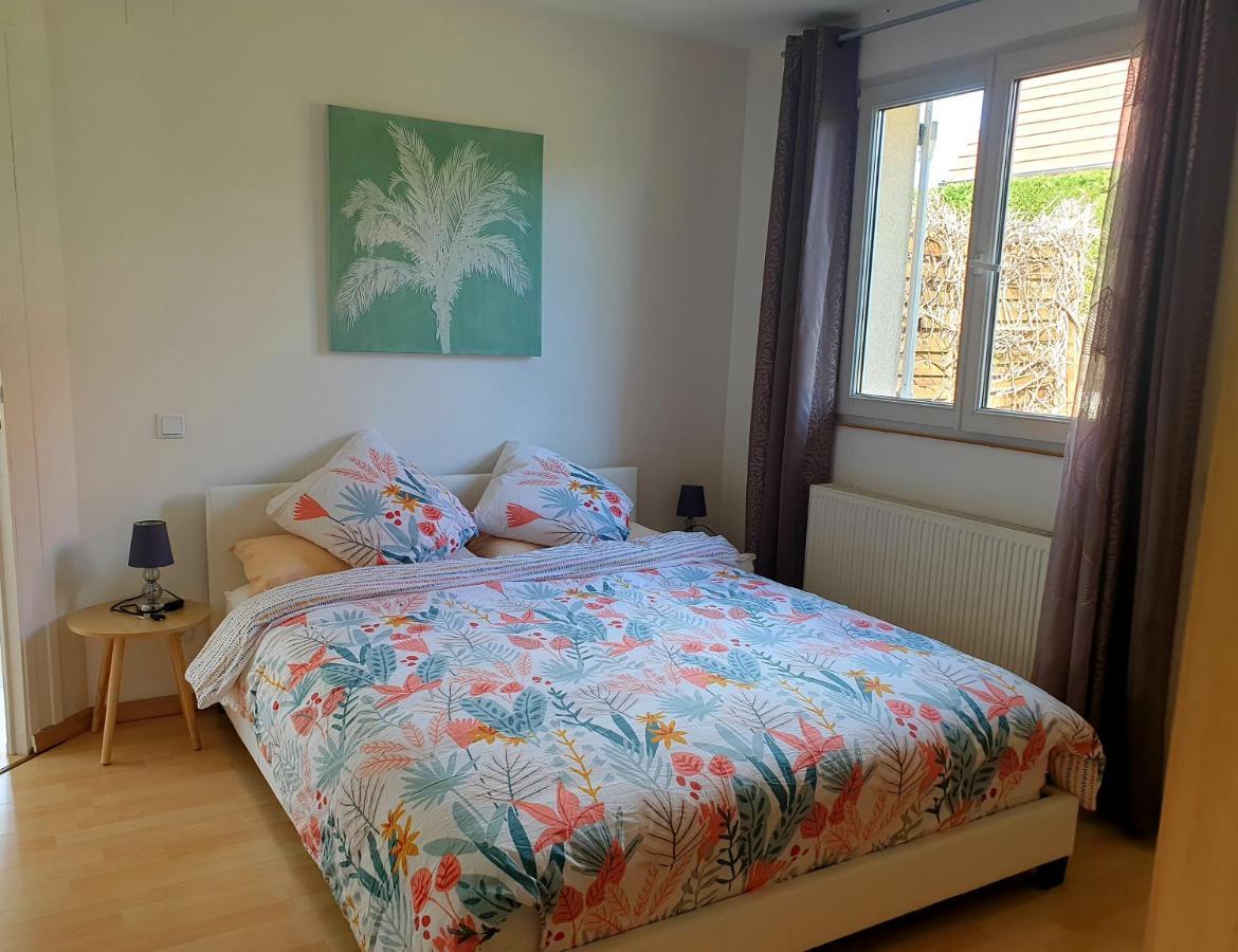 Appartement Proche D'Europa Park/Marches De Noel Rhinau Екстер'єр фото